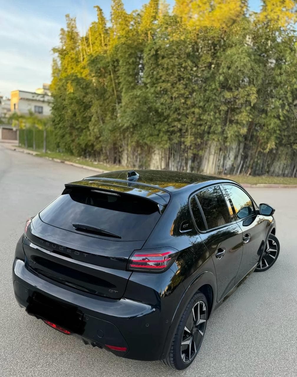 Peugeot 208 detail